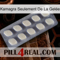 Kamagra Seulement De La Gelée 08